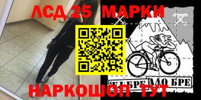 винт Можга