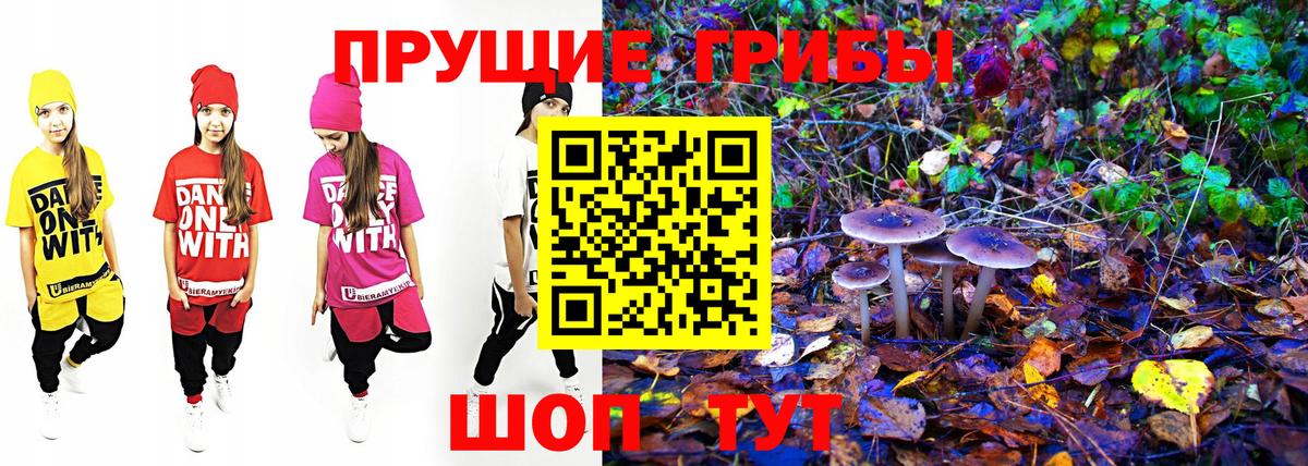 Чусовой  Псилоцибиновые грибы мухоморы  Вход с VPN 