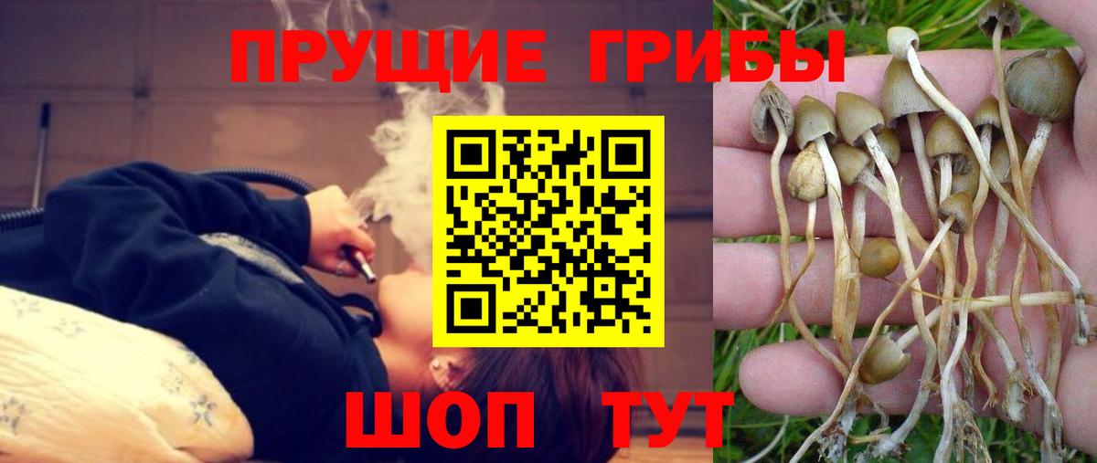 Галлюциногенные грибы мицелий Чусовой