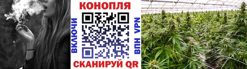 mega зеркало  Чусовой  Конопля SATIVA & INDICA 